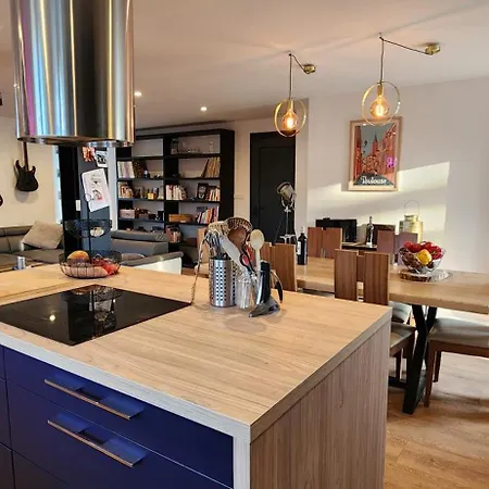 100m² Industriel Avec Jardin Et Terrasse Brumath